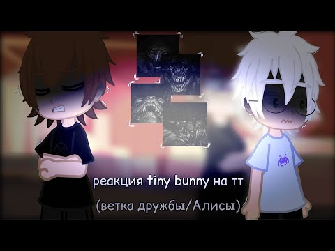Видео: Реакция каких-то даунов на зверинец (tiny bunny на тт) 4 часть