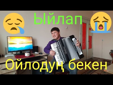 Видео: Каныбек Дайырбек уулу "Ойлодуң бекен"