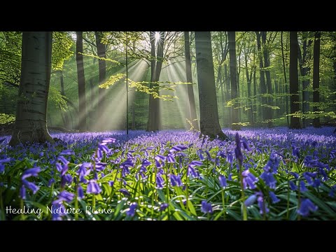 Видео: Расслабьтесь в объятиях природы 🌳 Целебная музыка и лесная атмосфера, спокойствие