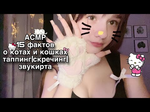 Видео: 🐱АСМР 15 фактов о котах и кошках😸|таппинг,скретчинг,звукирта