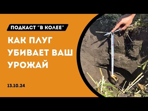 Видео: Глубокорыхлители, плужная подошва и как с ней бороться | В колее 13.10.24