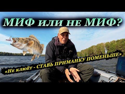 Видео: Проверяем МИФ про МАЛЕНЬКИЕ ПРИМАНКИ когда НЕТ КЛЁВА