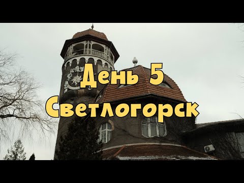 Видео: День 5. Светлогорск зимой. Идет снег. Что с набережной? Откуда столько туристов?