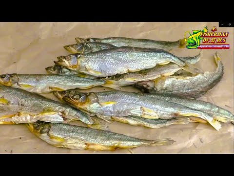 Видео: Корюшка, как правильно солить и вялить рыбу дома и получить идеальный результат