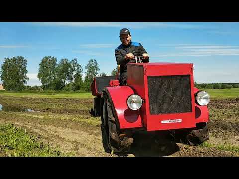 Видео: Борьба с борщевиком сосновского