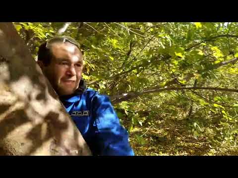 Видео: Нашли в лесу тяжеленную трубу!