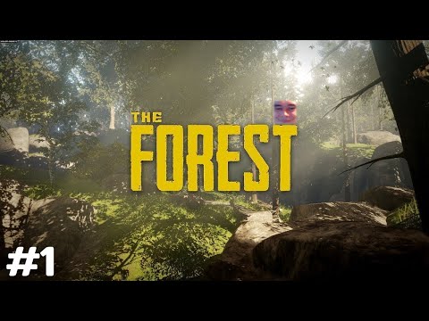 Видео: Абориген Рекви, The Forest #1