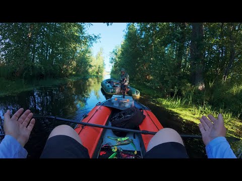 Видео: ЩУКА на РАКОВОМ озере. Ловля на спиннербейт и топвотеры. Рыбалка в Ленинградской области.