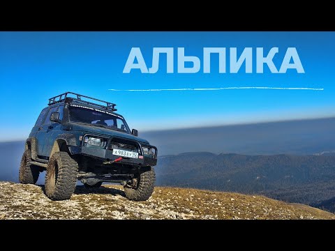 Видео: Поднимаемся по Гуамскому ущелью "Альпика" | Кавказ