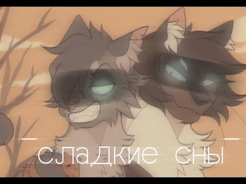 Видео: Коты воители - клип ~сладкие сны [Rus]