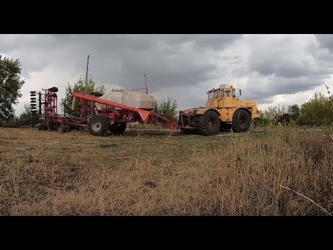 Видео: Трактор Кировец. Посев озимой пшеницы 2019 посевным комплексом Алькор-10.