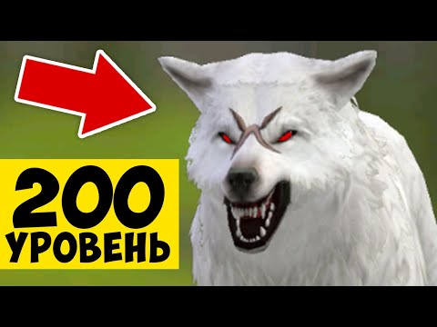 Видео: 200 УРОВЕНЬ на ВОЛКЕ в WILDCRAFT