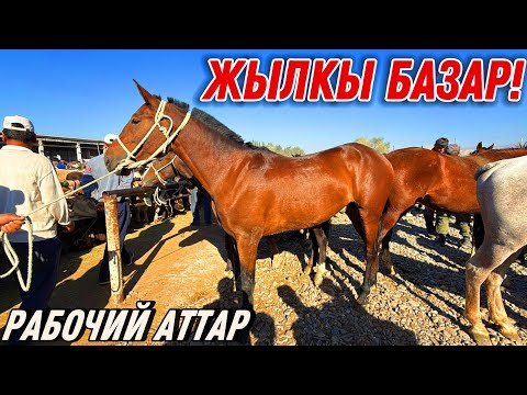 Видео: ӨСПҮРҮМ РАБОЧИЙ АТТАР 🤯 #байтв 