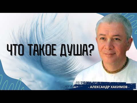 Видео: Что такое душа? - Никита Греков и Александр Хакимов