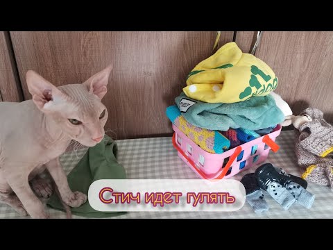Видео: ПРИКЛЮЧЕНИЯ СТИЧА В ОГОРОДЕ 👨‍🌾