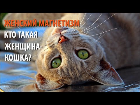 Видео: Женский магнетизм. Кто такая женщина-кошка?