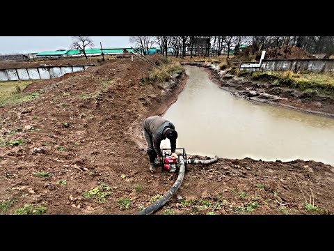 Видео: Один день из жизни Фермера/ У нас на днях выпадет снег и многое нужно успеть/ КФХ Идиятуллин