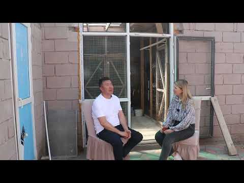 Видео: Бойные узбекские двухчубые голуби Таласбаева Бакытбека из Астаны.