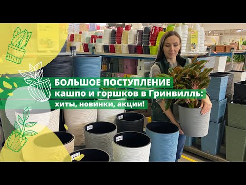 Видео: Большое поступление кашпо и горшков в Гринвилль: хиты, новинки, акции!