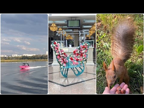 Видео: Казань 🍂 осенний день.🐿️ Белки в парке Горького, ТЦ Корстон и набережная Казанки. 18 сентября 2025 г