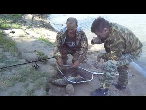 Видео: Сазан. Казахстан, река Урал