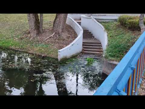 Видео: Витебск Вечерняя Прогулка Парк Фрунзе