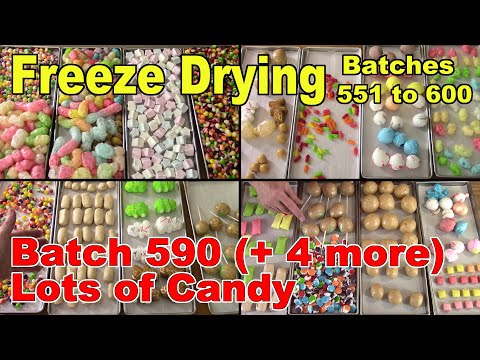 Видео: Партия 590 (плюс еще 4) Сублимационная сушка 5 партий конфет