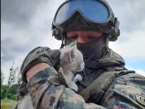 Видео: Такая им досталась доля