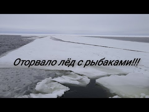 Видео: Оторвало лёд с рыбаками. Люди остались на льдине. 04.02.2019 год.