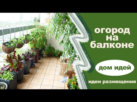 Видео: Огород на балконе  идеи размещения