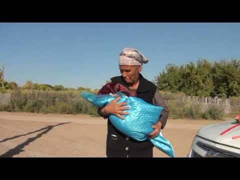 Видео: АЛПАМЫСКА ШАШЫУ