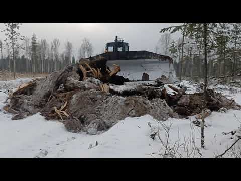 Видео: Тайга, дороги ......