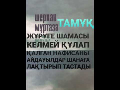 Видео: ТАМҰҚ 7-ші бөлім | Әзиза | Шерхан Мұртаза | Роман | #аудиокітап