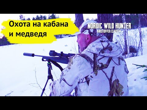 Видео: Охота на кабана и медведя. Охотничьи приключения в Норвегии / NORDIC WILD HUNTER (Охотник и рыболов)