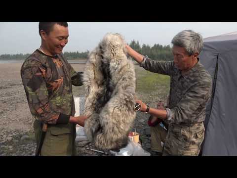 Видео: Рыбалка на реке Ундюлюнг / С Клевой рыбалкой В.Бродниковым