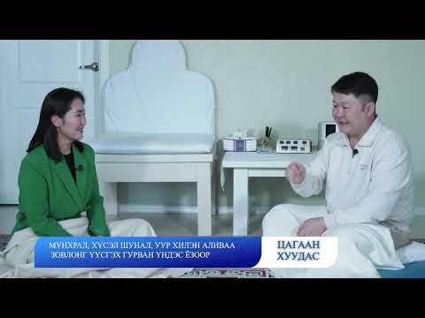 Видео: Л Ширэндэв