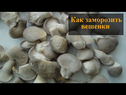 Видео: Как заморозить вешенки