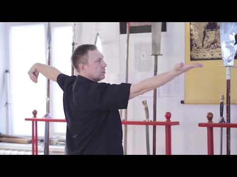 Видео: Комплекс Цигун - 5 зверей (Форма 1 из 5 - Змея)