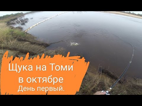 Видео: Рыбалка на Томи в октябре 2021. Ловля щуки, день первый