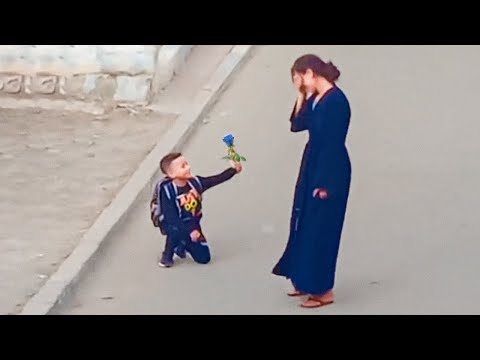 Видео: 35 САМЫХ ТРОГАТЕЛЬНЫХ МОМЕНТОВ, СНЯТЫХ НА КАМЕРУ