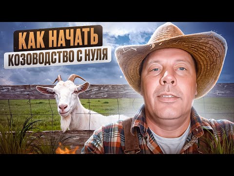Видео: Как начать козоводство с нуля. Секреты, которых вам никто не расскажет! 🐐🔍 #МоеПодворье