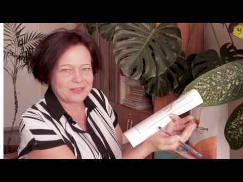 Видео: О нектарниках