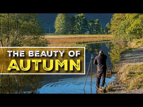 Видео: Пейзажная фотография ранней осени
