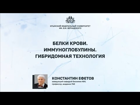 Видео: Белки крови. Иммуноглобулины. Гибридомная технология