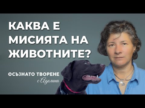Видео: Каква е МИСИЯТА на ЖИВОТНИТЕ на Земята? | Аделина Димитрова