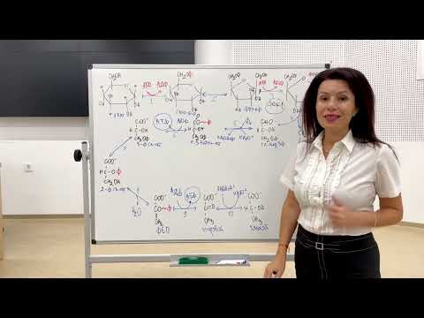 Видео: Гликолиза/Glycolysis/