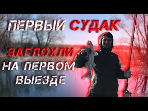 Видео: Выехал на рыбалочку. Поймал судака! Рыбалка в Саратове. Рыбалка на Волге