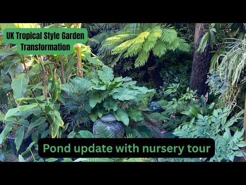 Видео: Преображение тропического сада в Великобритании. Развитие пруда и экскурсия по питомнику.