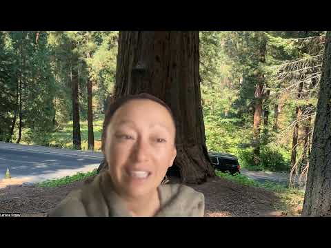 Видео: Гигантская Секвойя. Энергия. История. Практика.