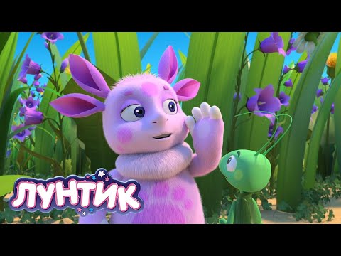 Видео: Лунтик 🙈 Играем в прятки 🙈 Сборник мультиков для детей
